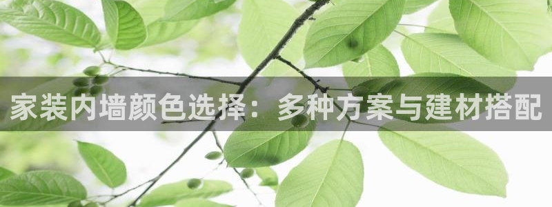 和记官方