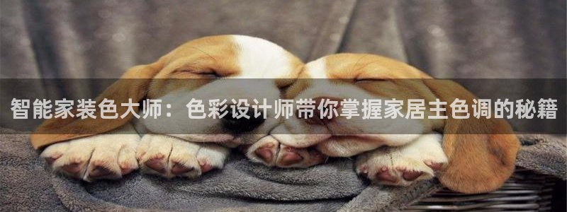 和记平台