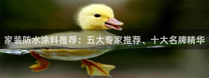 和记hj：家装防水涂料推荐：五大专家推荐、十大名牌精华