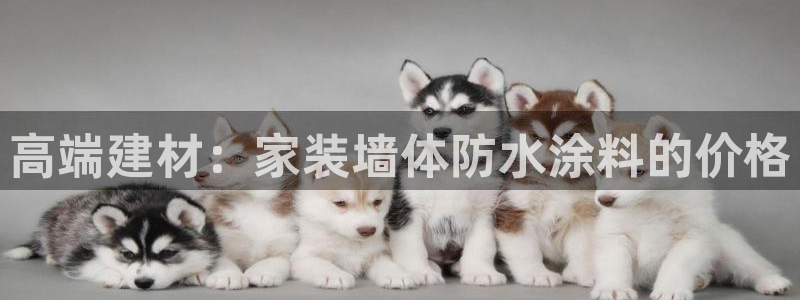和记hj：高端建材：家装墙体防水涂料的价格