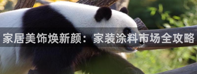 和记app官网：家居美饰焕新颜：家装涂料市场全攻略