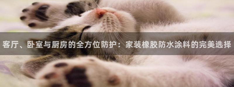 和记网页：客厅、卧室与厨房的全方位防护：家装橡胶防水涂料的完美选择
