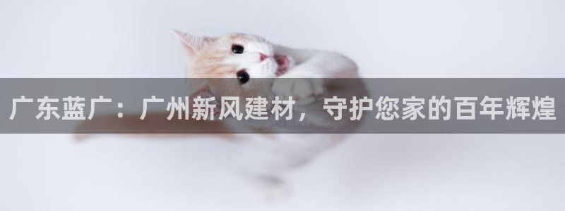 和记网页版登陆：广东蓝广：广州新风建材，守护您家的百年辉煌
