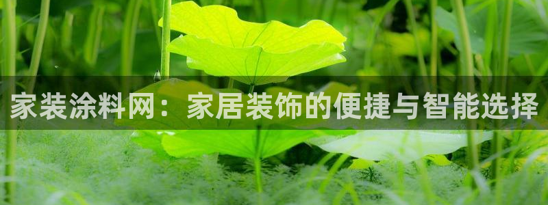 和记国际开户网站：家装涂料网：家居装饰的便捷与智能选择