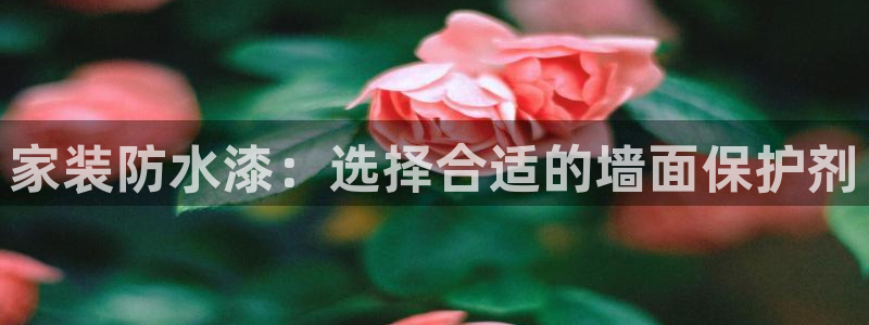 和记Ag：家装防水漆：选择合适的墙面保护剂