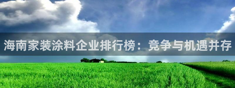 和记国际：海南家装涂料企业排行榜：竞争与机遇并存