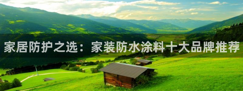 和记平台怎么样：家居防护之选：家装防水涂料十大品牌推荐