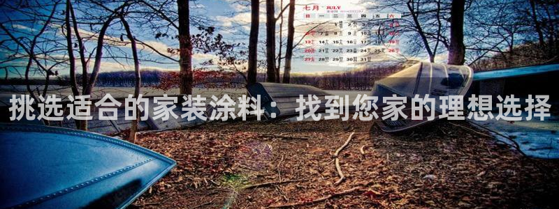 和记ag旗舰厅app：挑选适合的家装涂料：找到您家的理想选择