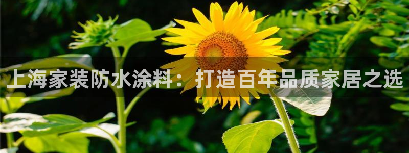 和记ag捕鱼害死多少人