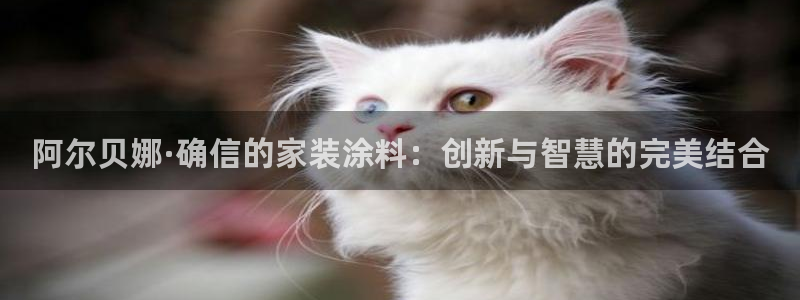 和记app官网