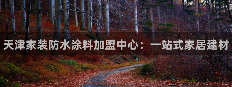 和记官网 公司：天津家装防水涂料加盟中心：一站式家居建材