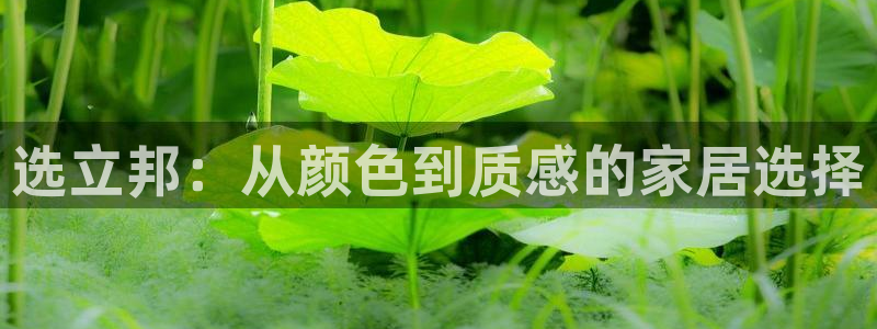 和记pc