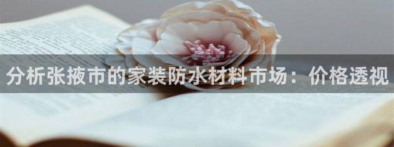 和记app官网登录：分析张掖市的家装防水材料市场：价格透视