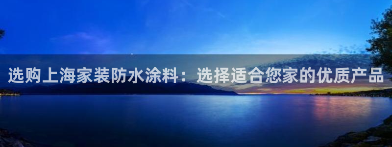 和记国际官网官网：选购上海家装防水涂料：选择适合您家的优质产品