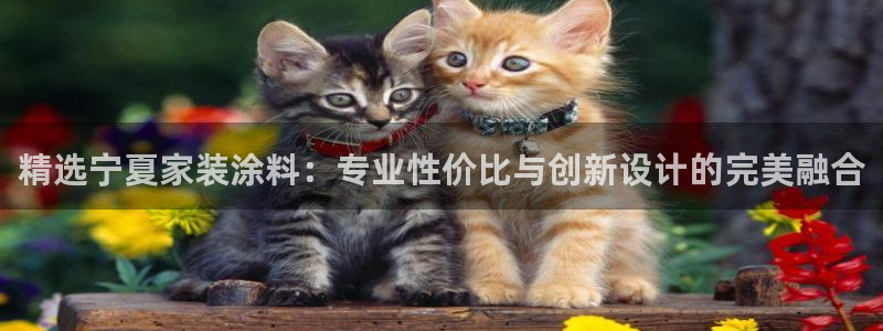 和记国际听：精选宁夏家装涂料：专业性价比与创新设计的完美融合
