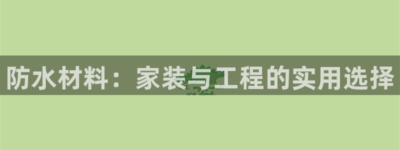 和记广告女主角