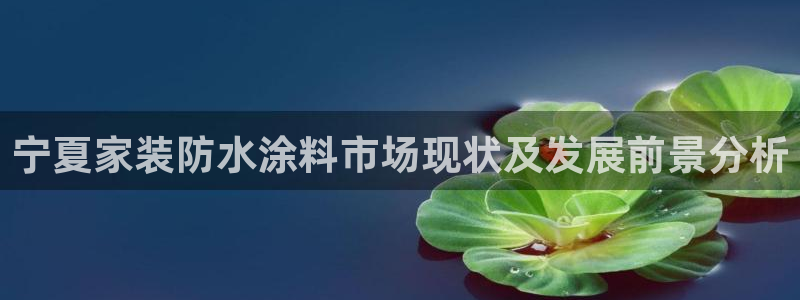 和记官方直营注册：宁夏家装防水涂料市场现状及发展前景分析