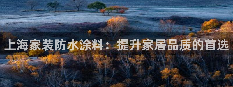 和记官网[中国]官方网站：上海家装防水涂料：提升家居品质的首