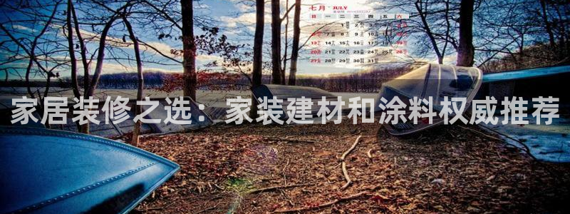 和记平台怎么样：家居装修之选：家装建材和涂料权威推荐