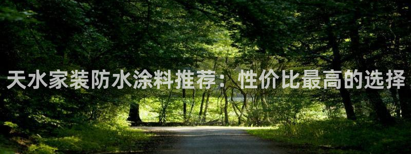 和记官网[中国]官方网站：天水家装防水涂料推荐：性价比最高的选择