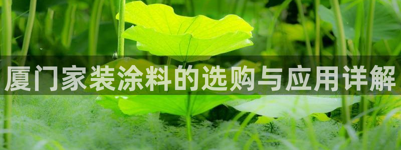和记pc：厦门家装涂料的选购与应用详解