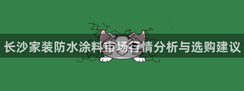 和记h8：长沙家装防水涂料市场行情分析与选购建议