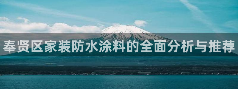 和记 中国官网：奉贤区家装防水涂料的全面分析与推荐