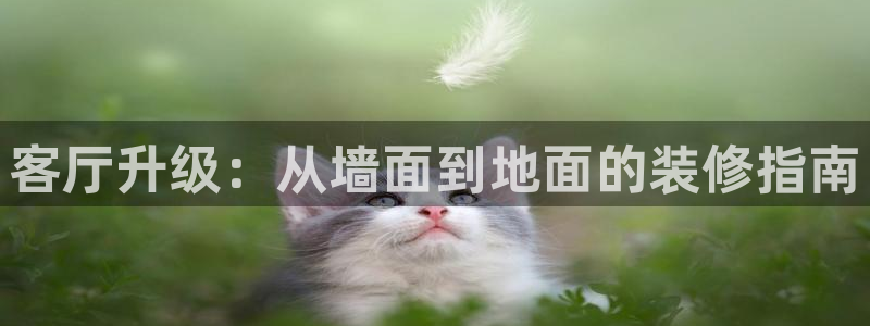 和记官网登录