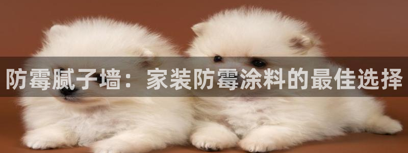 和记下载：防霉腻子墙：家装防霉涂料的最佳选择