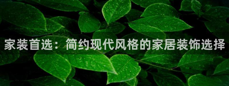 深圳和记科技有限公司：家装首选：简约现代风格的家居装饰选择