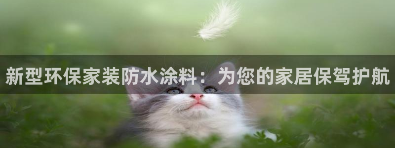 和记国际客服：新型环保家装防水涂料：为您的家居保驾护航
