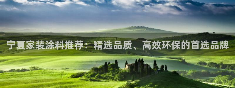和记平台登录：宁夏家装涂料推荐：精选品质、高效环保的首选品牌