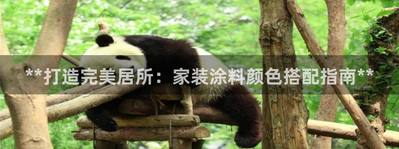 和记 中国首页：**打造完美居所：家装涂料颜色搭配指南**