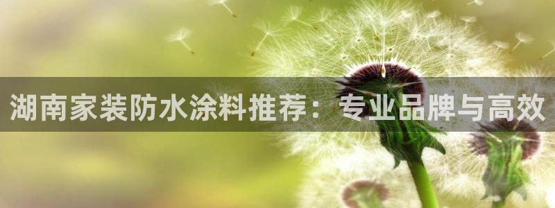 和记(福建)商贸有限公司：湖南家装防水涂料推荐：专业品牌与高效