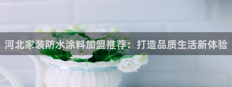 和记娱好网址：河北家装防水涂料加盟推荐：打造品质生活新体验