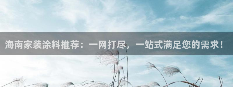 和记(福建)商贸有限公司：海南家装涂料推荐：一网打尽，一站式