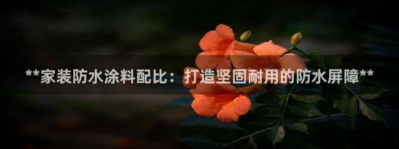 和记 首页