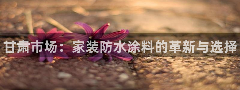 和记官网：甘肃市场：家装防水涂料的革新与选择