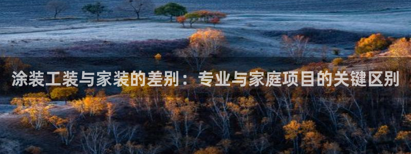 和记ag捕鱼害死多少人：涂装工装与家装的差别：专业与家庭项目