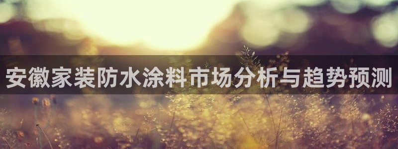 和记paging：安徽家装防水涂料市场分析与趋势预测