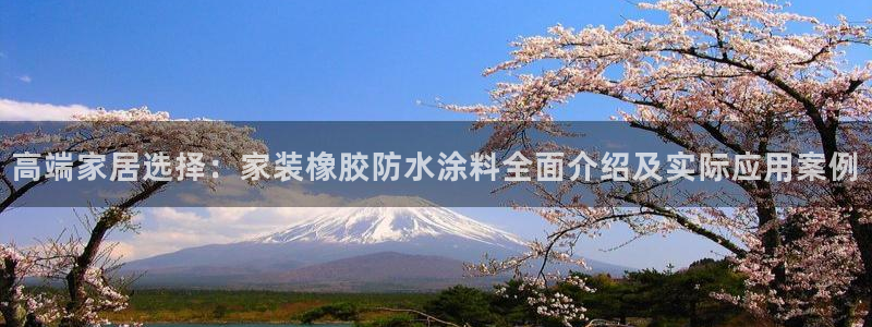 和记官方网站：高端家居选择：家装橡胶防水涂料全面介绍及实际应用案例
