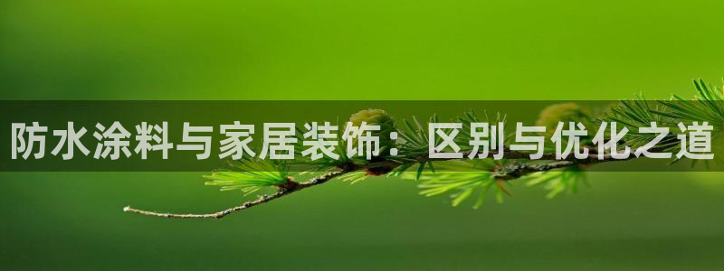 ag和记app：防水涂料与家居装饰：区别与优化之道
