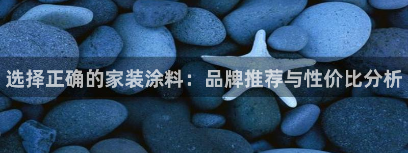 和记网页：选择正确的家装涂料：品牌推荐与性价比分析