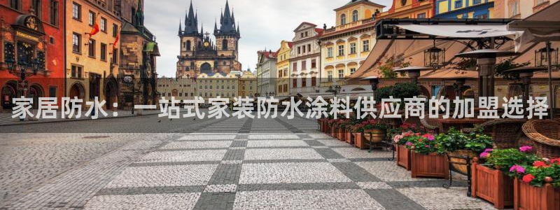 和记h88最新客户端下载：家居防水：一站式家装防水涂料供应商的加盟选择