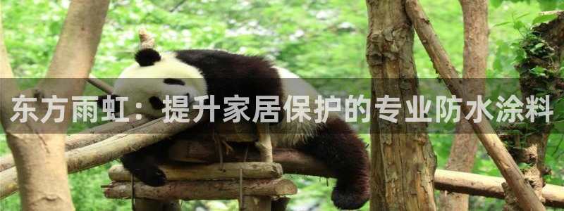和记h88最新客户端下载：东方雨虹：提升家居保护的专业防水涂料