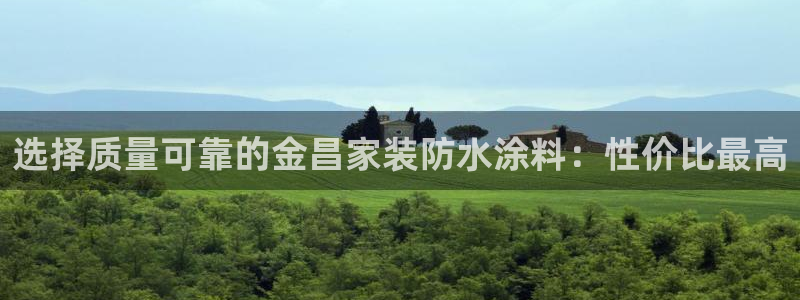 和记AG网站：选择质量可靠的金昌家装防水涂料：性价比最高