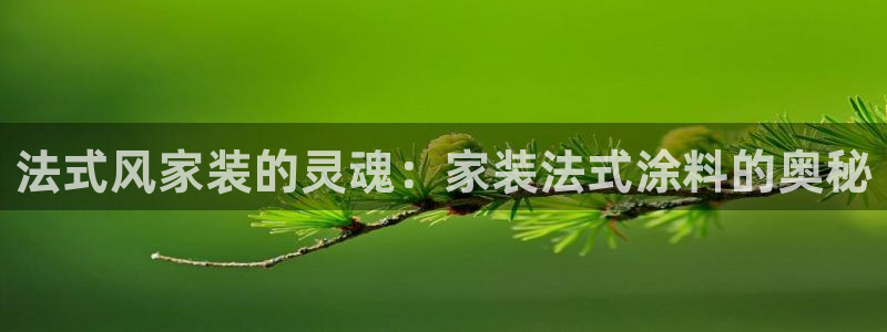 和记ag捕鱼害死多少人：法式风家装的灵魂：家装法式涂料的奥秘