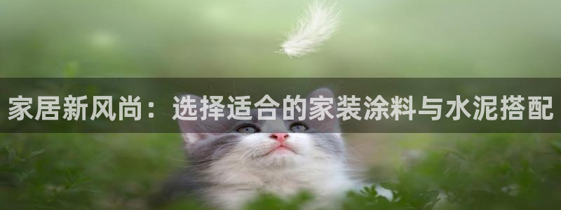 和记 官网：家居新风尚：选择适合的家装涂料与水泥搭配