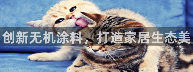 和记官网[中国]官方网站：创新无机涂料，打造家居生态美