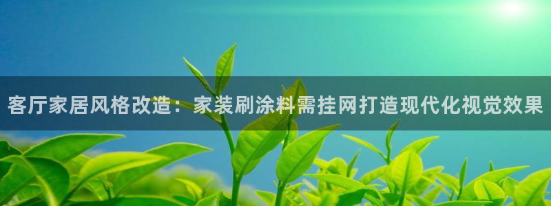 和记h8：客厅家居风格改造：家装刷涂料需挂网打造现代化视觉效果